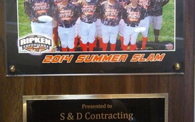 S&D Contracting Supports Palm Beach Vipers